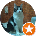 vinna kusuma profile picture